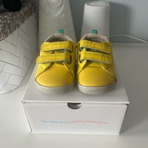 Ten Little Brand Everyday Original 6.5